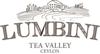 Lumbini Tea Valley