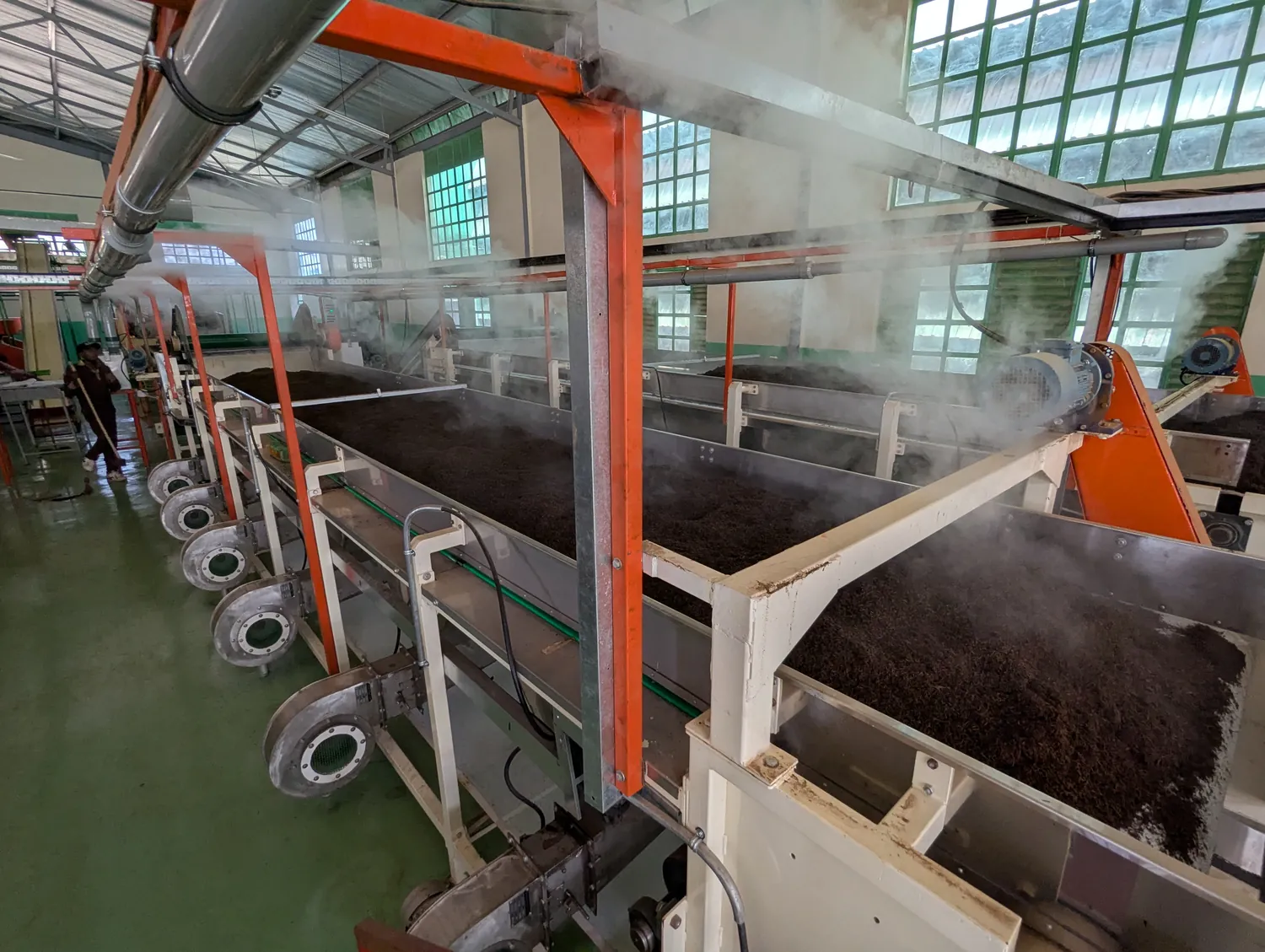Humidification system over the fermenting conveyor