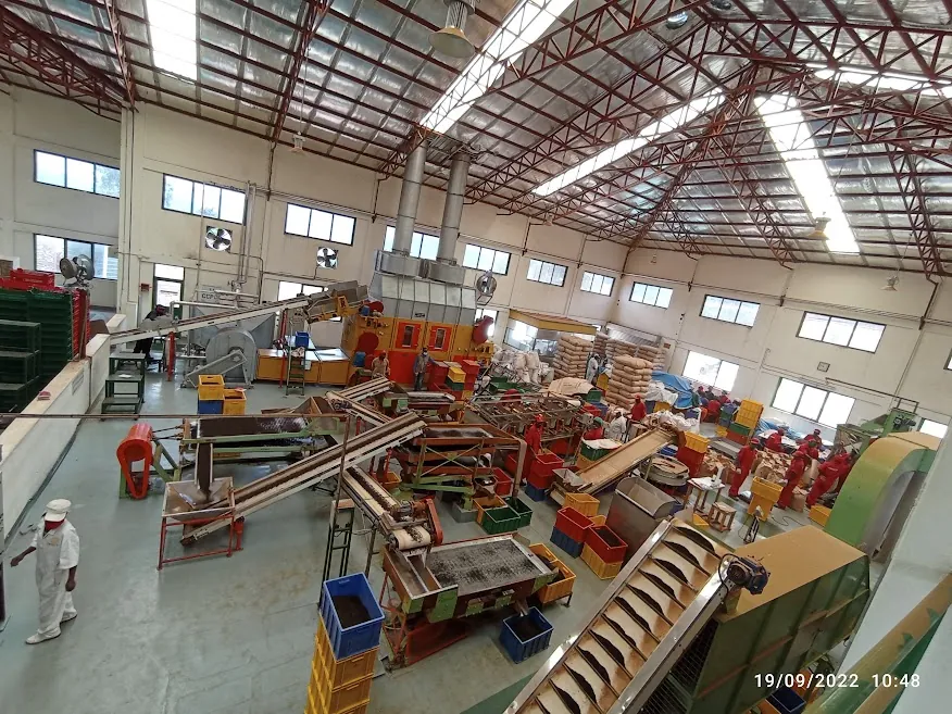 Automated grading and sorting room