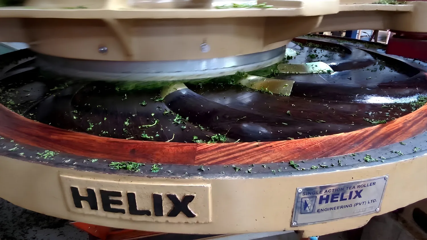 Close-up of a Helix single action tea roller working the leaf